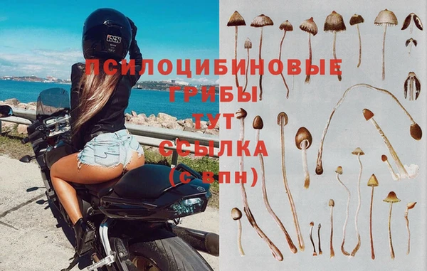 меф Новодвинск