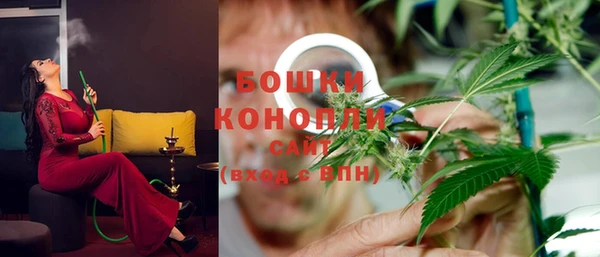 крисы Новозыбков