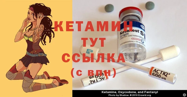 сатива Новокубанск