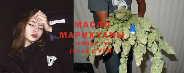 крисы Новозыбков