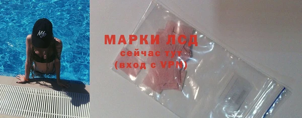 крисы Новозыбков