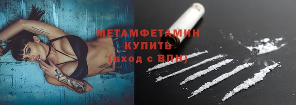 крисы Новозыбков