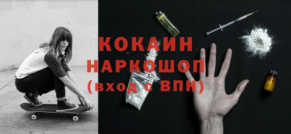 крисы Новозыбков