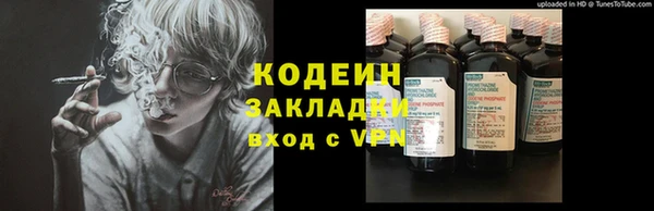 гашик Дегтярск