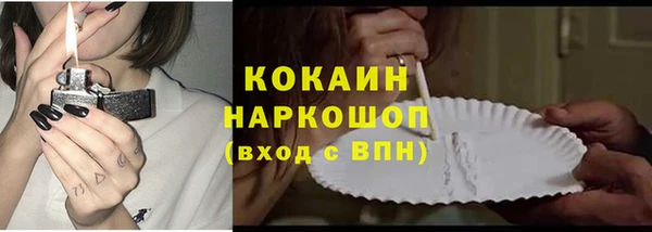 сатива Новокубанск