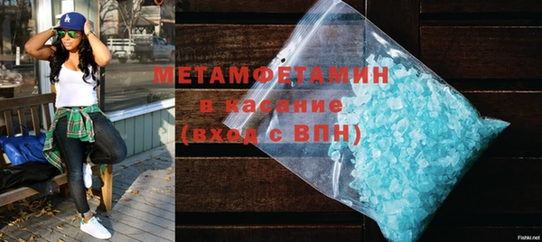сатива Новокубанск