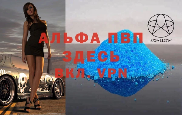 сатива Новокубанск