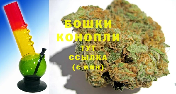 крисы Новозыбков