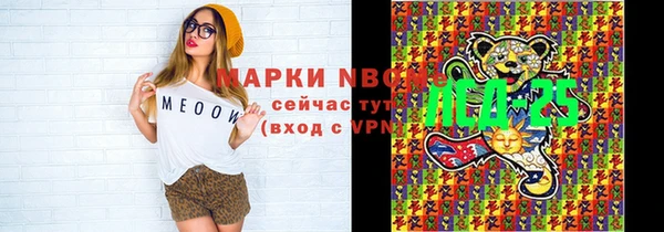 сатива Новокубанск