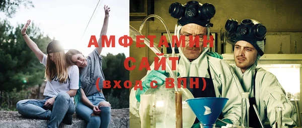 сатива Новокубанск