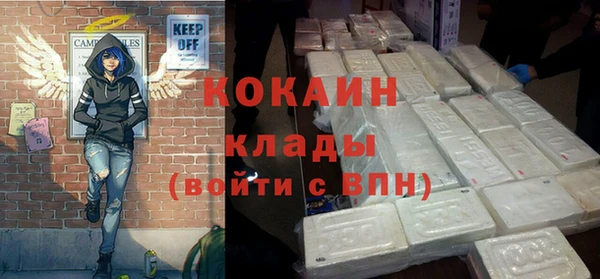 крисы Новозыбков
