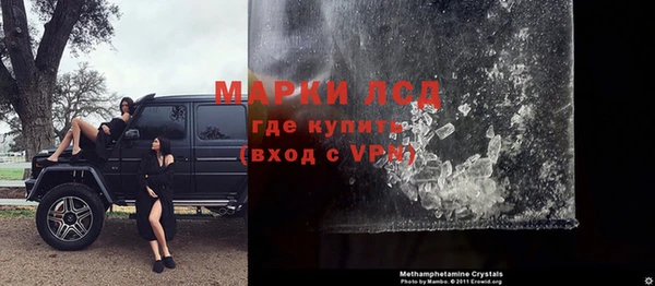 сатива Новокубанск