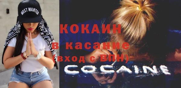 крисы Новозыбков