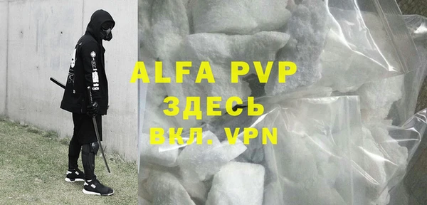 сатива Новокубанск