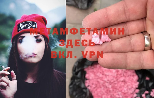сатива Новокубанск